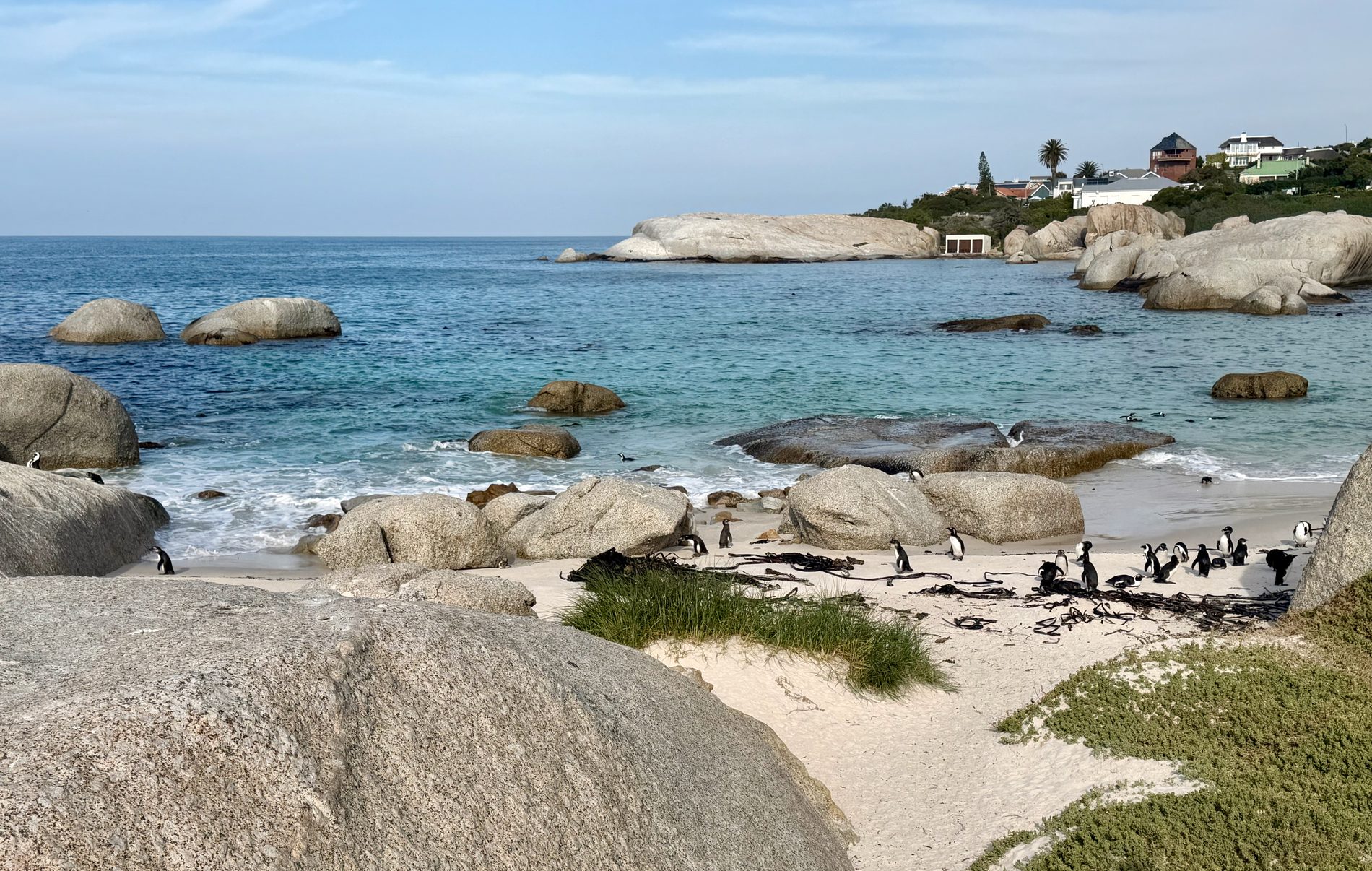 Turquoise water and granite boulders at a Cape beach, penguins on the white sand