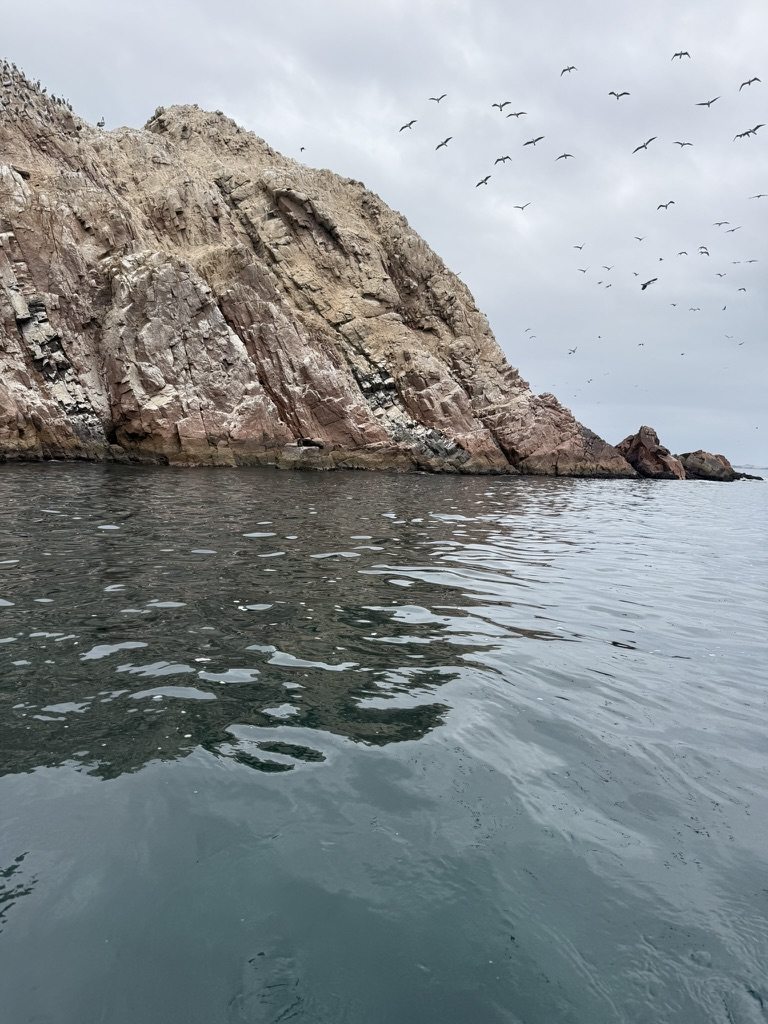 A guano-streaked rock island with seabirds wheeling above it over grey Pacific water