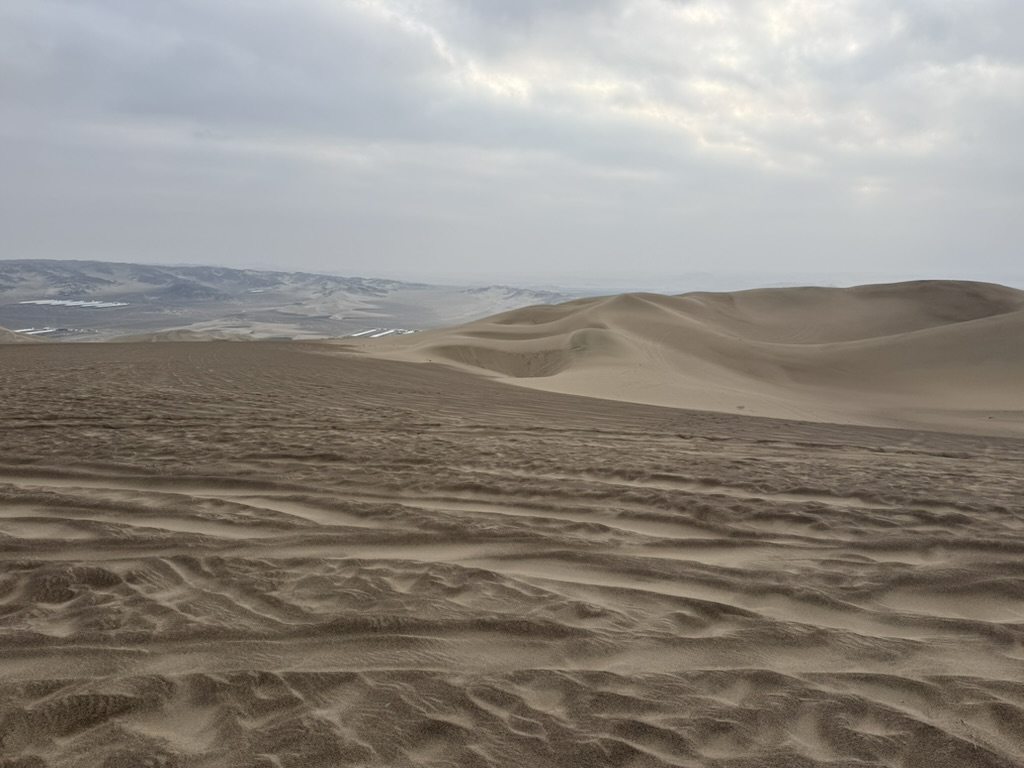 Wind-rippled sand dunes stretching to distant hills under a pale overcast sky