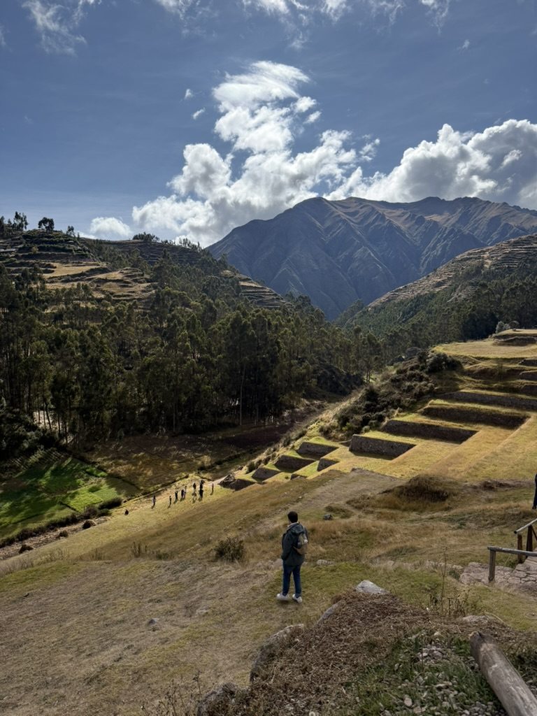 Ancient agricultural terraces stepped down a green hillside below high mountains