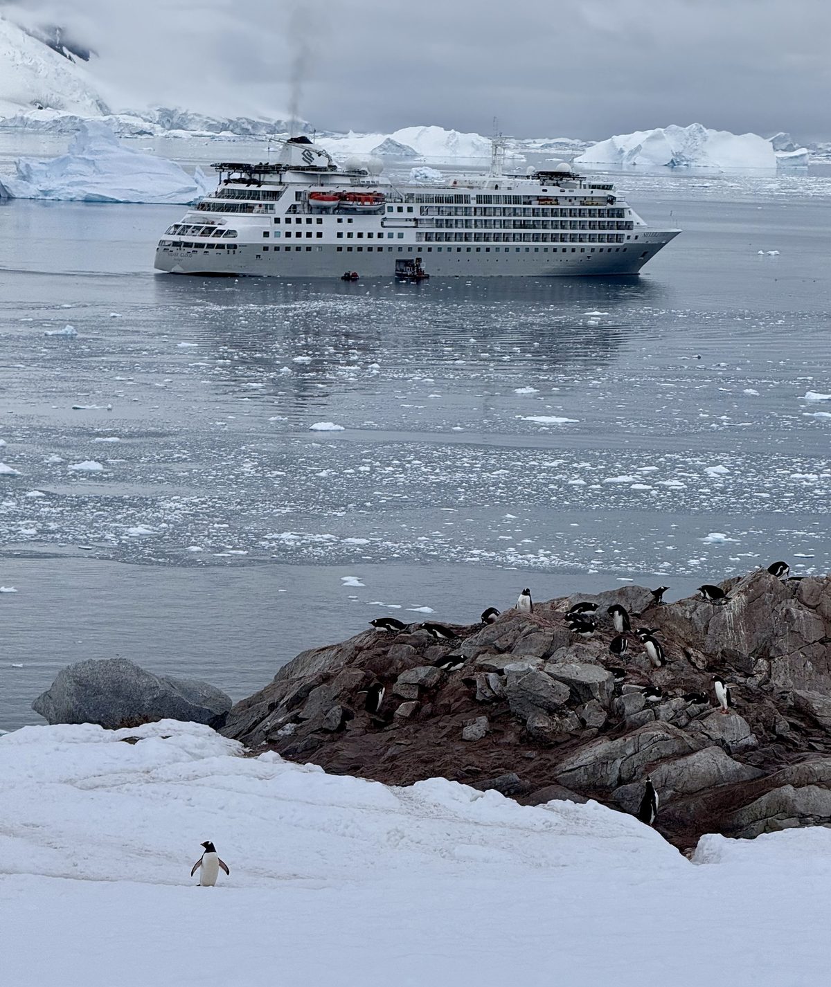 An expedition ship at anchor among ice, with a penguin colony on a rocky outcrop in the foreground
